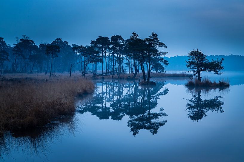L'heure bleue aux étangs par René Groenendijk