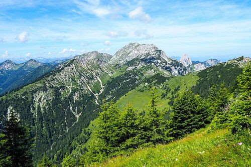 Het natuurpark Ammergauer Alpen is een van de mooiste landschappen in Beieren. Het combineert ongerepte natuur, afwisselende berglandschappen en traditionele alpenweiden.