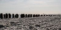 Zee vol met schuim van Erik Wouters thumbnail
