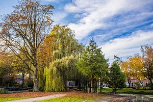 Parc sur Thomas van der Willik