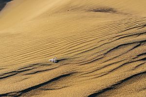 Dune de sable au coucher du soleil sur Shanti Hesse