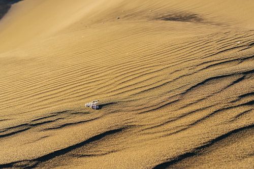 Sand dune in the sunset