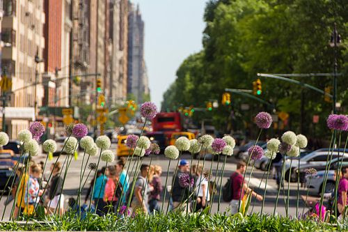 Die Straßen von New York