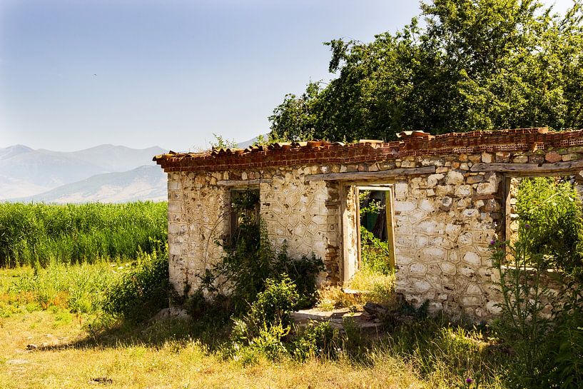 Decaying wall in green landscape by Edith Keijzer