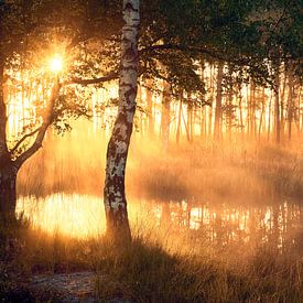 Zonsopkomst op de Noorderheide in Vierhouten van Jenco van Zalk