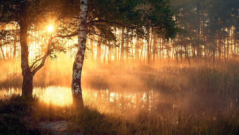 Zonsopkomst op de Noorderheide in Vierhouten van Jenco van Zalk