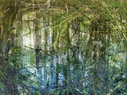 Water reflections by Anita Snik-Broeken