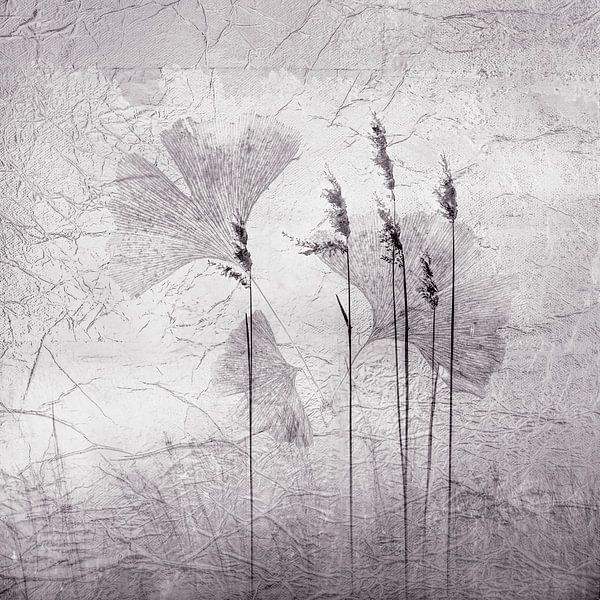 Morning mist with reeds and ginkgo. by Alie Ekkelenkamp