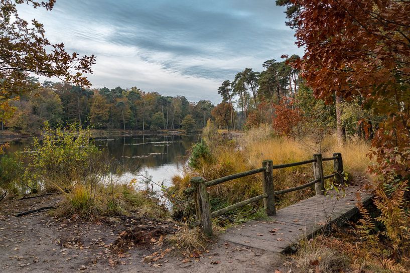 Witven bij Oisterwijk in Lentetooi by Douwe Bergsma