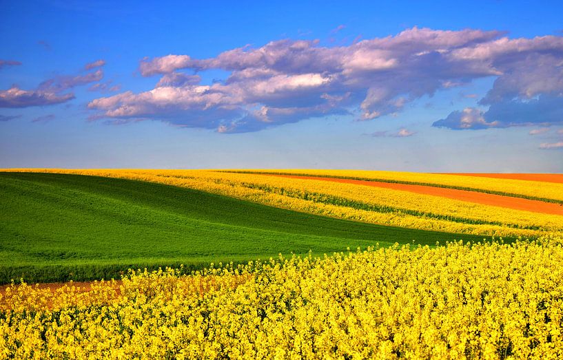 Colours by Ilija Stanusic