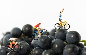miniatuur poppetjes op fietsen