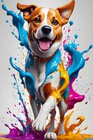 Chien coloré
