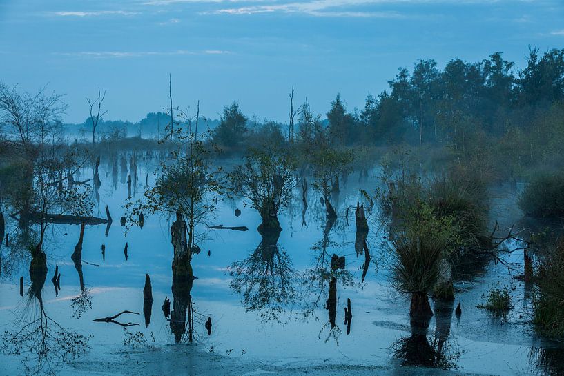 sunrise at the Peel by Arjan Benders