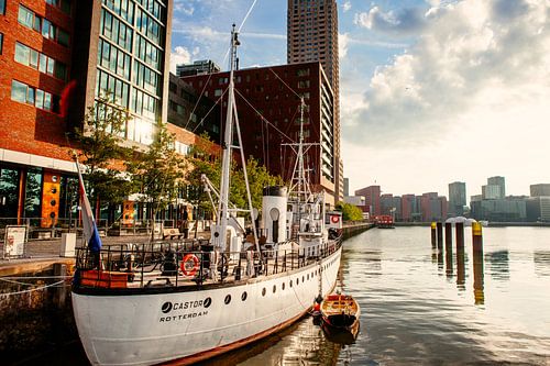 De Castor in de Rijnhaven Rotterdam
