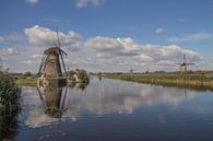 Mühle auf dem Wasser von Yvonne Blokland Miniaturansicht