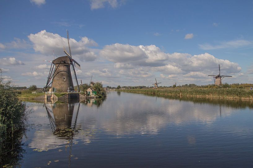 Mühle auf dem Wasser von Yvonne Blokland