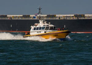 Lotsen, die in IJmuiden von Schiff zu Schiff fahren.