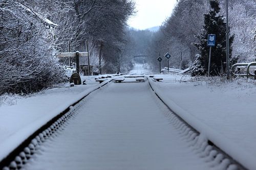 Miljoenenlijntje dans la neige