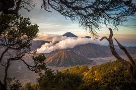 Mount Bromo von Claudio Duarte
