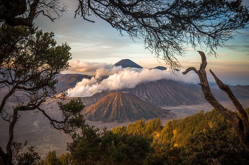 Mount Bromo by Claudio Duarte