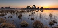 Strabrechtse Heide 234