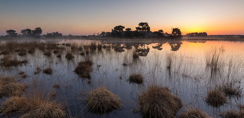 Strabrechtse Heide 234 par Deshamer