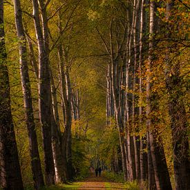 parc naturel de Lelystad sur Michel Van Giersbergen