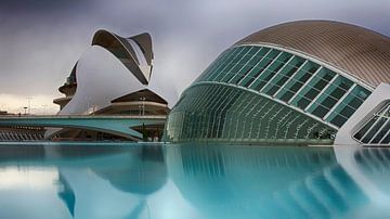 Valencia - City of Arts and Sciences van Bas Bakema