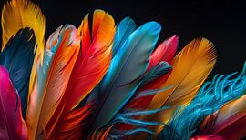 Feathers in colour panorama