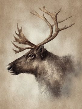 Detaillierte Aquarellillustration eines Rentieres in warmen Naturtönen