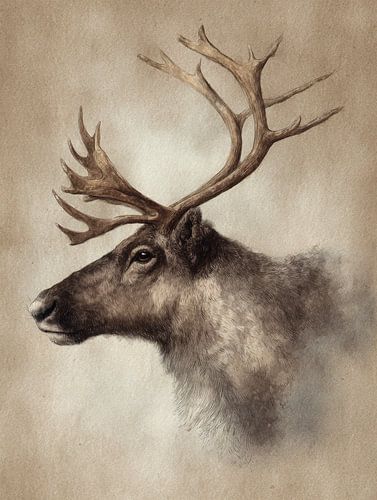 Gedetailleerde aquarelillustratie van een rendier in warme natuurlijke tinten van But First Framing