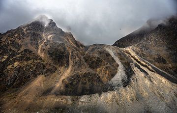 Magical light on the mountains on Spitsbergen by Joy van der Beek