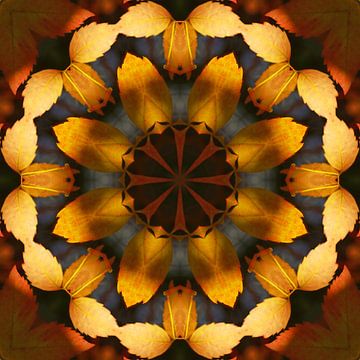 Mandala, darker style