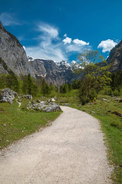 Hiking trail at Königssee by Sabine Wagner