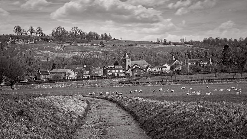 Sheep in Oud-Valkenburg by Rob Boon