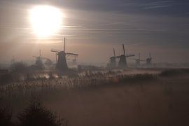 Ochtendmist van Joost Hinderdael