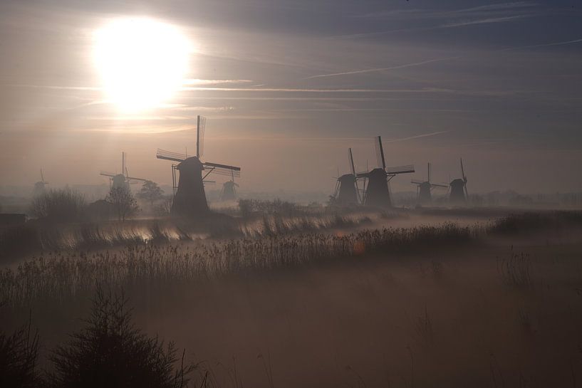 Ochtendmist by Joost Hinderdael