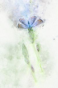 Schmetterling 15 von Silvia Creemers