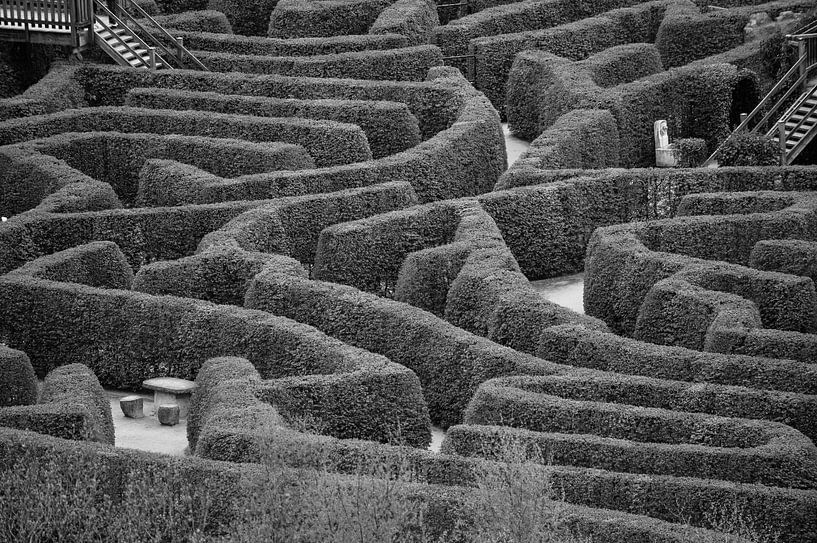 Altmodisches Labyrinth, Schwarz-Weiß-Foto von Patrick Verhoef