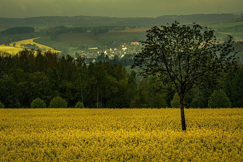 Landschaft im Erzgebirge von Johnny Flash