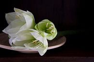 Witte lelies op bamboe schaal van Marion Moerland thumbnail