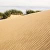 Dune avec motif dans le sable. sur René Weijers
