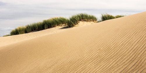 Duin met patroon in het zand.