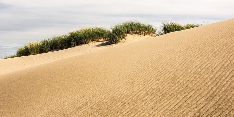 Dune with pattern in the sand. by René Weijers