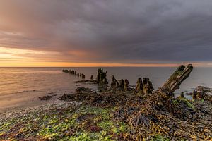 Ancien brise-lames couvert d'algues sur la mer des Wadden lors d'une tempête de pluie