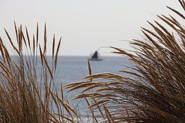 VIEW 02 by Anne Bergsma