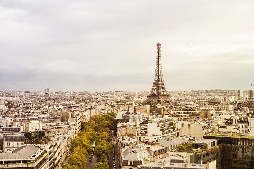 Paris Eiffel Tower  by davis davis