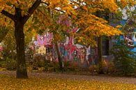 Herfst...Autumn van Brian Morgan thumbnail