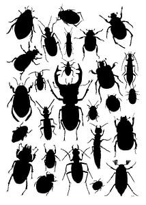 Collage von Käfern in Schwarz und Weiß