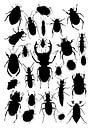 Collage von Käfern in Schwarz und Weiß von Jasper de Ruiter Miniaturansicht